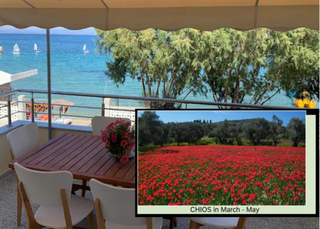 וילה Blue Flag Award Winning Beach: 2 *